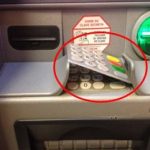 skimmer